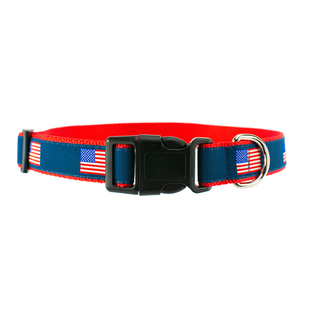 American Flag - Dog Collar
