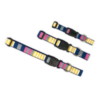 Sunshine Stripe - Dog Collar