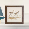 Watercolor Sandpipers - Framed Sign