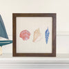 Shells of Glory - Patriotic Framed Sign