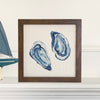Blue Oyster Bloom - Framed Sign