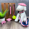 Un Croissant - Tennis Ball Toss Toy