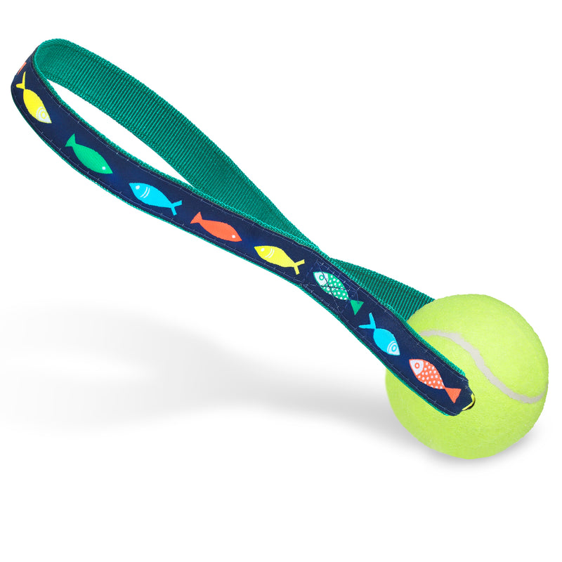 Funky Fish - Tennis Ball Toss Toy