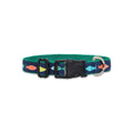 Funky Fish - Dog Collar