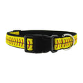 Softball Laces - Dog Collar