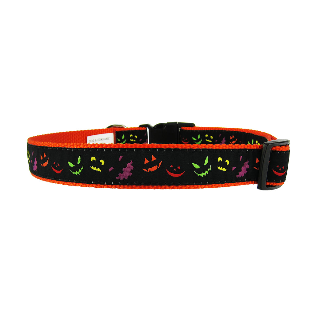 Jack O' Lantern  - Dog Collar