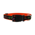 Jack O' Lantern  - Dog Collar