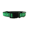 Football Field - Dog Collar