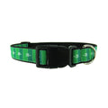 Football Field - Dog Collar