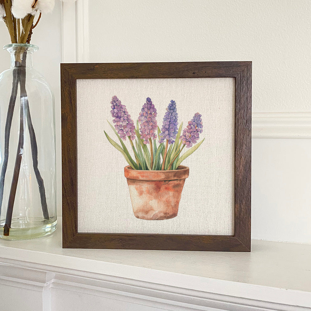 Potted Hyacinths - Spring Framed Sign