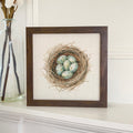 Robin in a Cherry Blossom - Spring Framed Sign