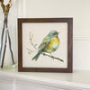Robin in a Cherry Blossom - Spring Framed Sign