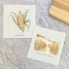 Corn Cob and Field - Custom 2pk Swedish Dish Cloth