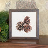 Pinecones - Framed Sign