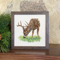 Buck in Spring Meadow - Oil Paint - Framed Sign