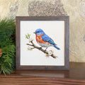 Eastern Bluebird on Branch - Oil Paint - Framed Sign