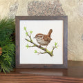Wren on Spring Branch - Oil Paint - Framed Sign