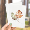 Oak Leaves - Greeting Card