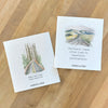 Beautiful Destinations, Road Less Traveled 2pk - Swedish Dish Cloth