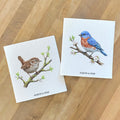 Wren on Spring Branch - Oil Paint - 2pk Swedish Dish Cloth