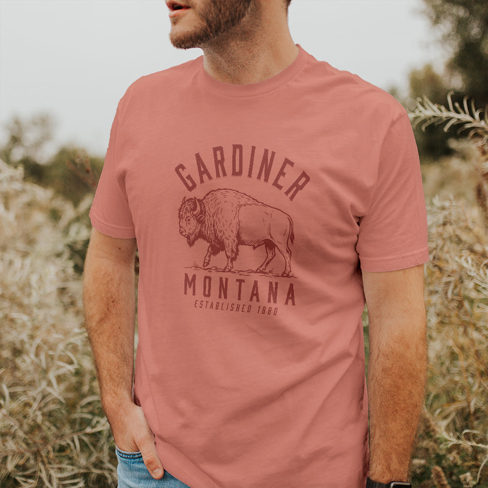 Buffalo Illustration - Custom T-Shirt
