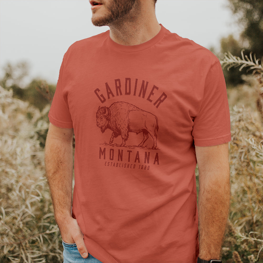 Buffalo Illustration - Custom T-Shirt