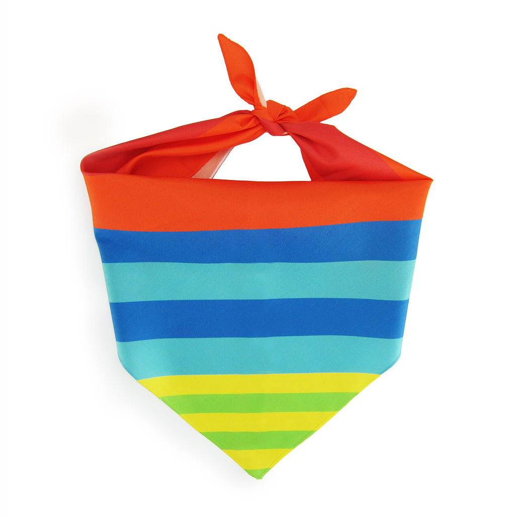 Party Stripes - Pet Bandana