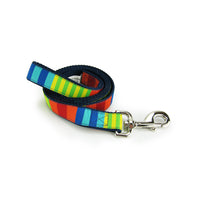 Party Stripes - Dog Leash