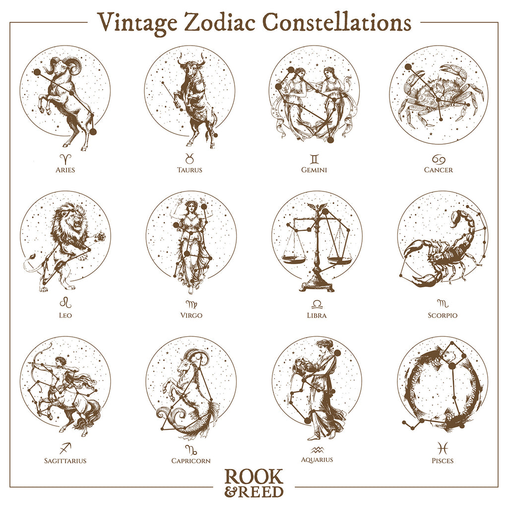 Vintage Zodiac Constellations - Cotton Tea Towel