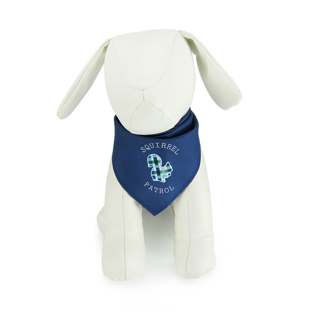 Summer Plaid w/ Squirrel (Blue) - Pet Bandana