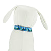 Summer Plaid (Blue) - Dog Collar