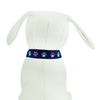 Trendy Paws - Dog Collar