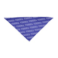 Vintage Varsity, Property of - Custom Triangle Bandana