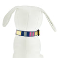 Sunshine Stripe - Dog Collar