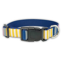 Sunshine Stripe - Dog Collar