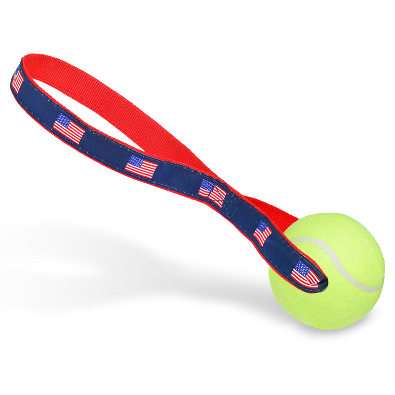 Set 1: Small 3/4" Collars (20)and Tennis Ball Toss Toys (30)